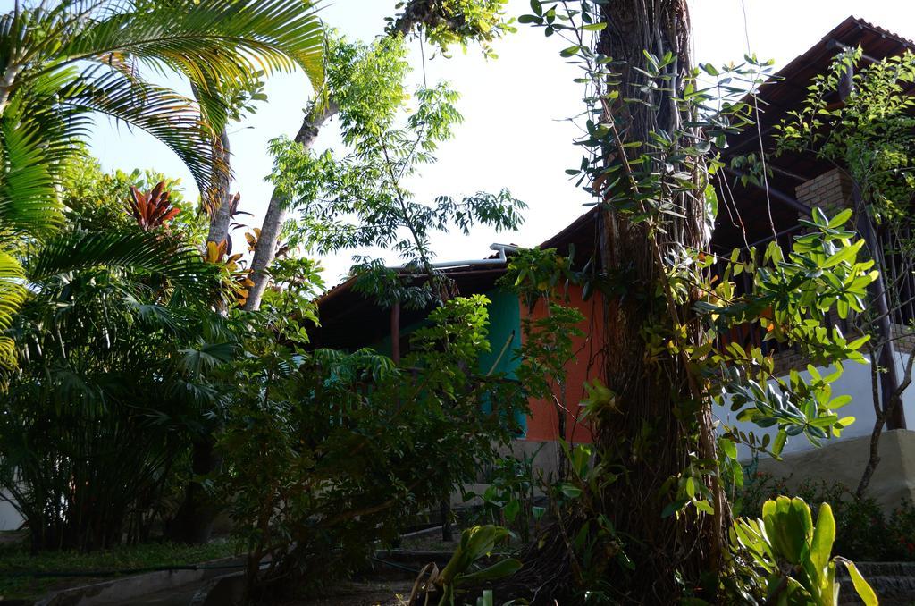 Vila Sofia Chales มอร์โฮเจอเซาเปาลู ภายนอก รูปภาพ